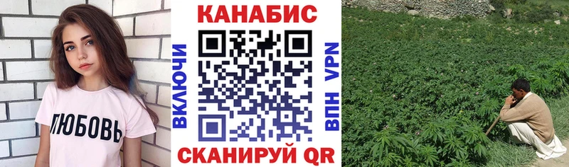 купить наркотик  Бежецк  Канабис OG Kush 